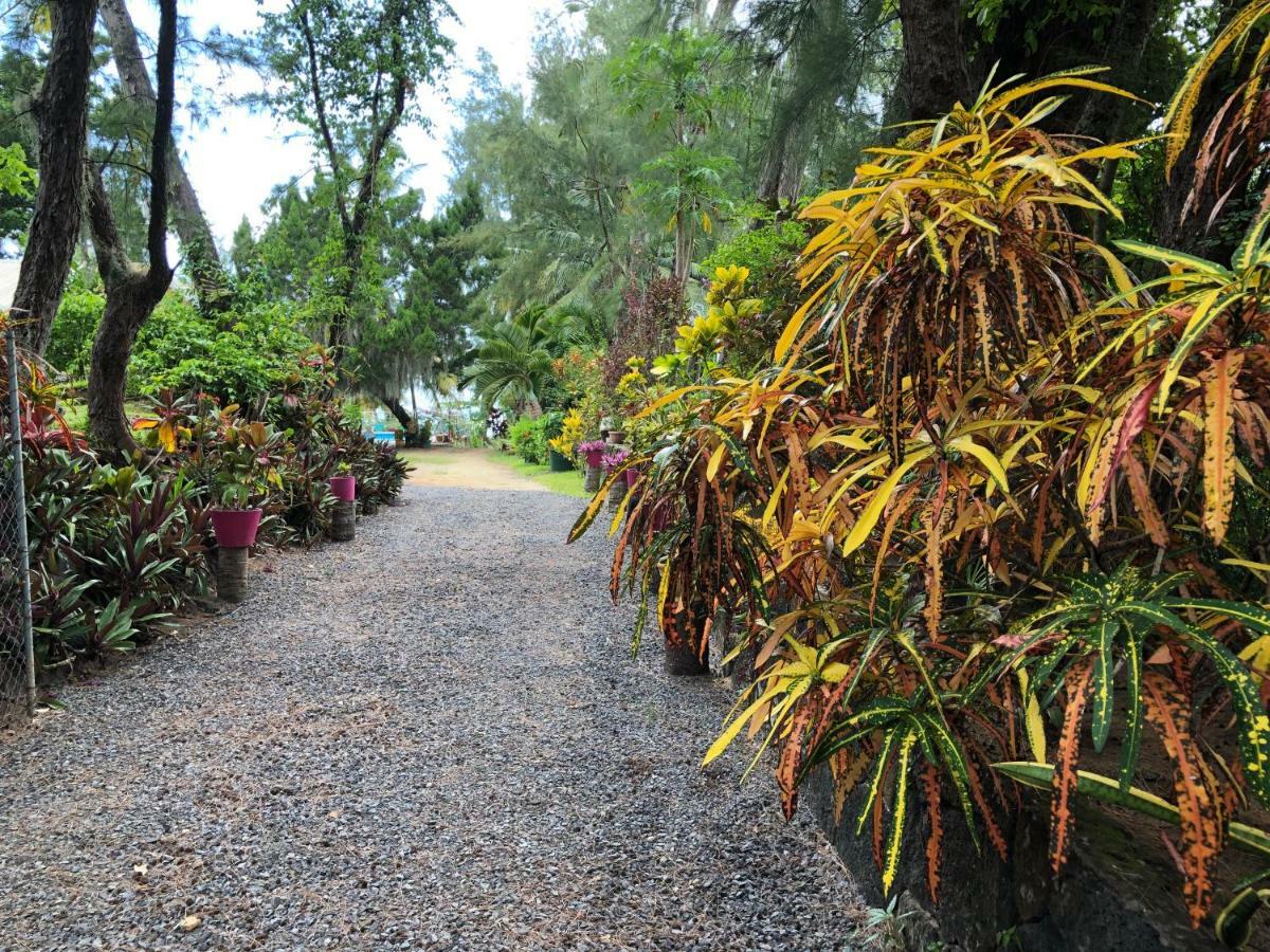 Case Cassia Riambel Exterior photo