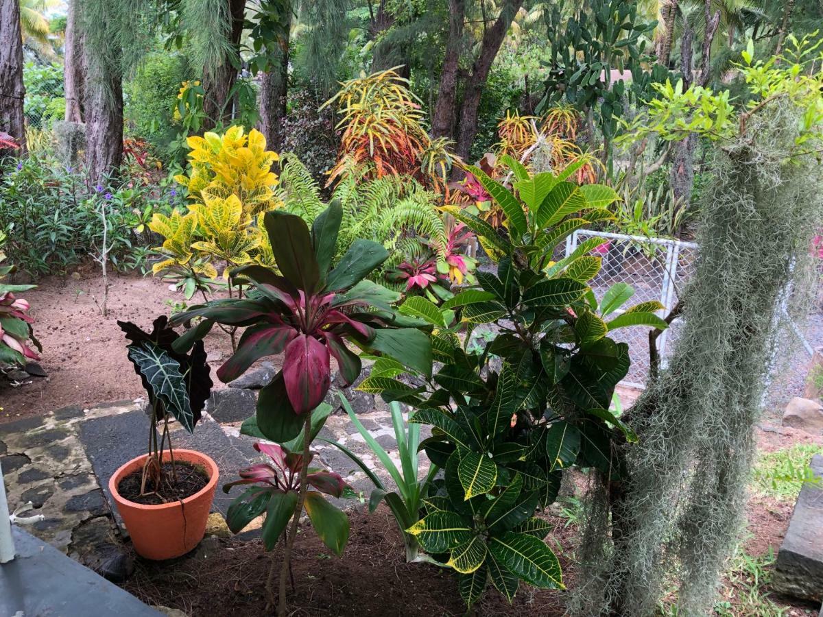 Case Cassia Riambel Exterior photo